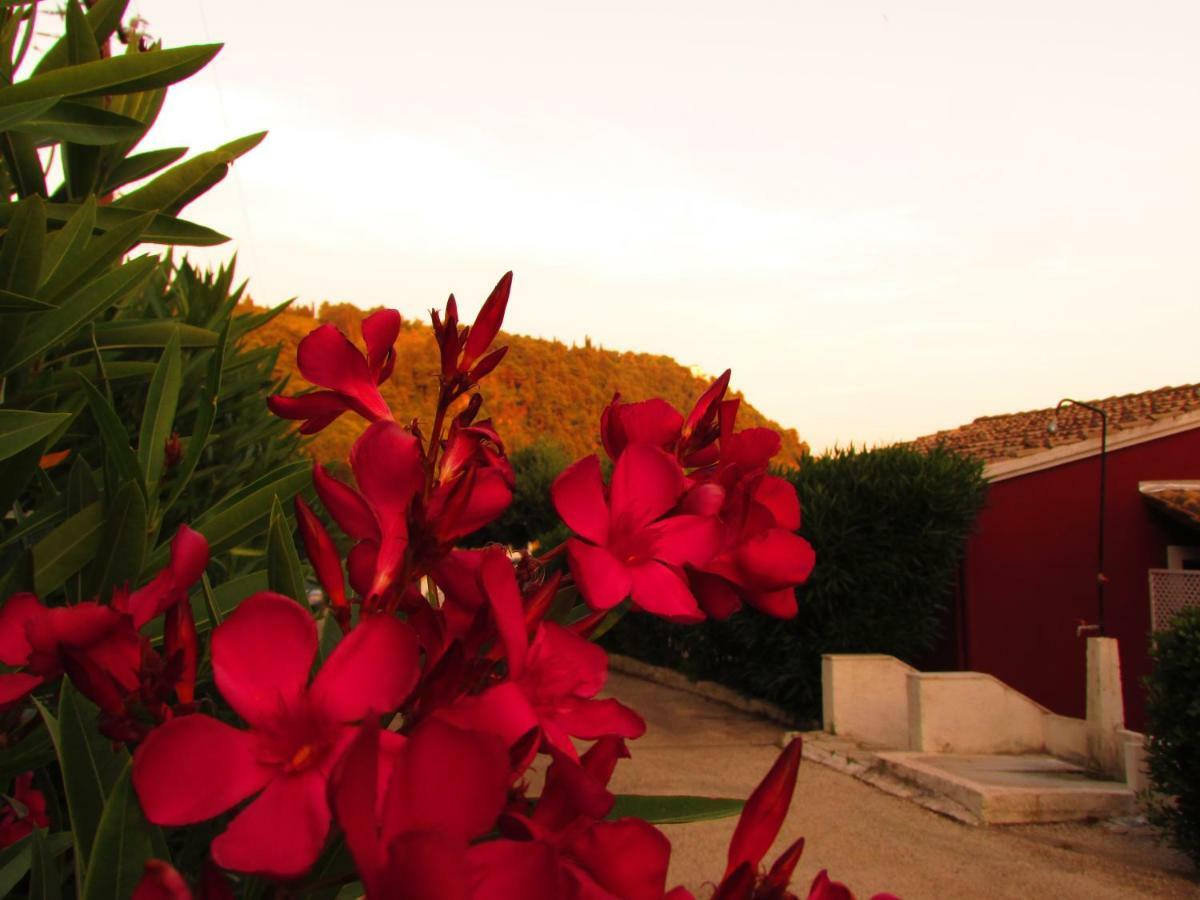 Kallopsia - Glifada Beach Menigos Resort By New Era Exterior photo